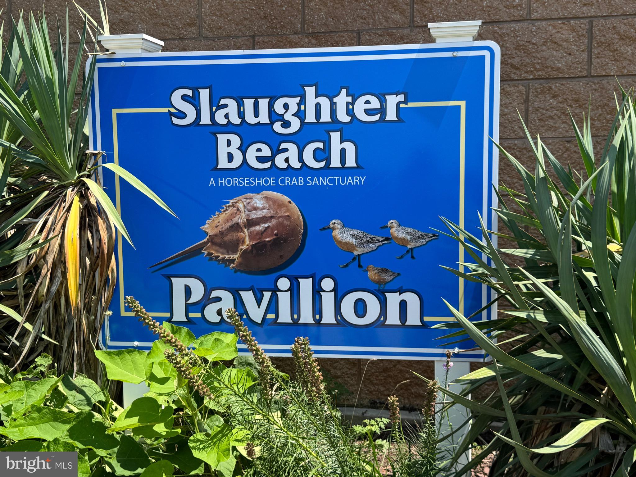 SLAUGHTER BEACH - Residential