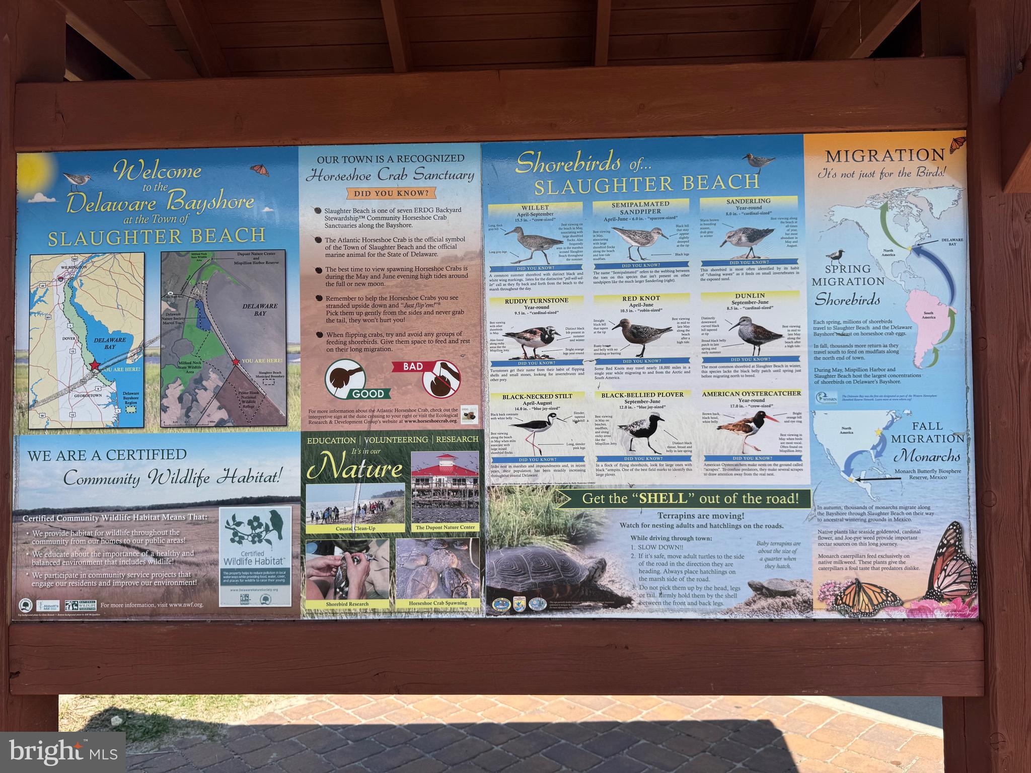 SLAUGHTER BEACH - Residential