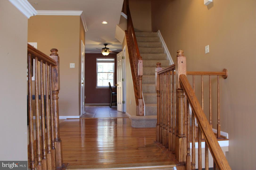 SNOWDEN RIDGE - Residential Lease