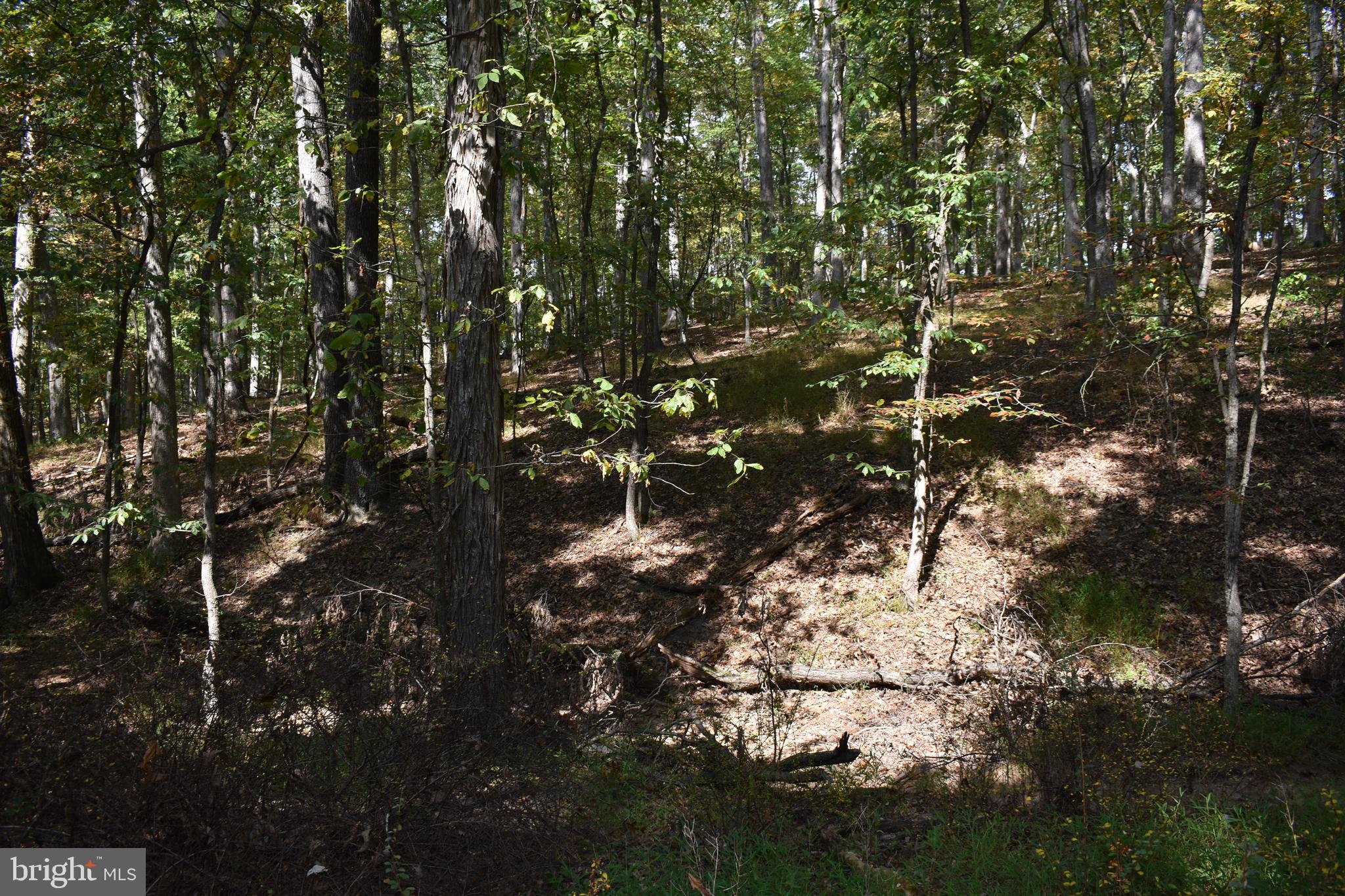 OLD MORGAN FARMS - Residential