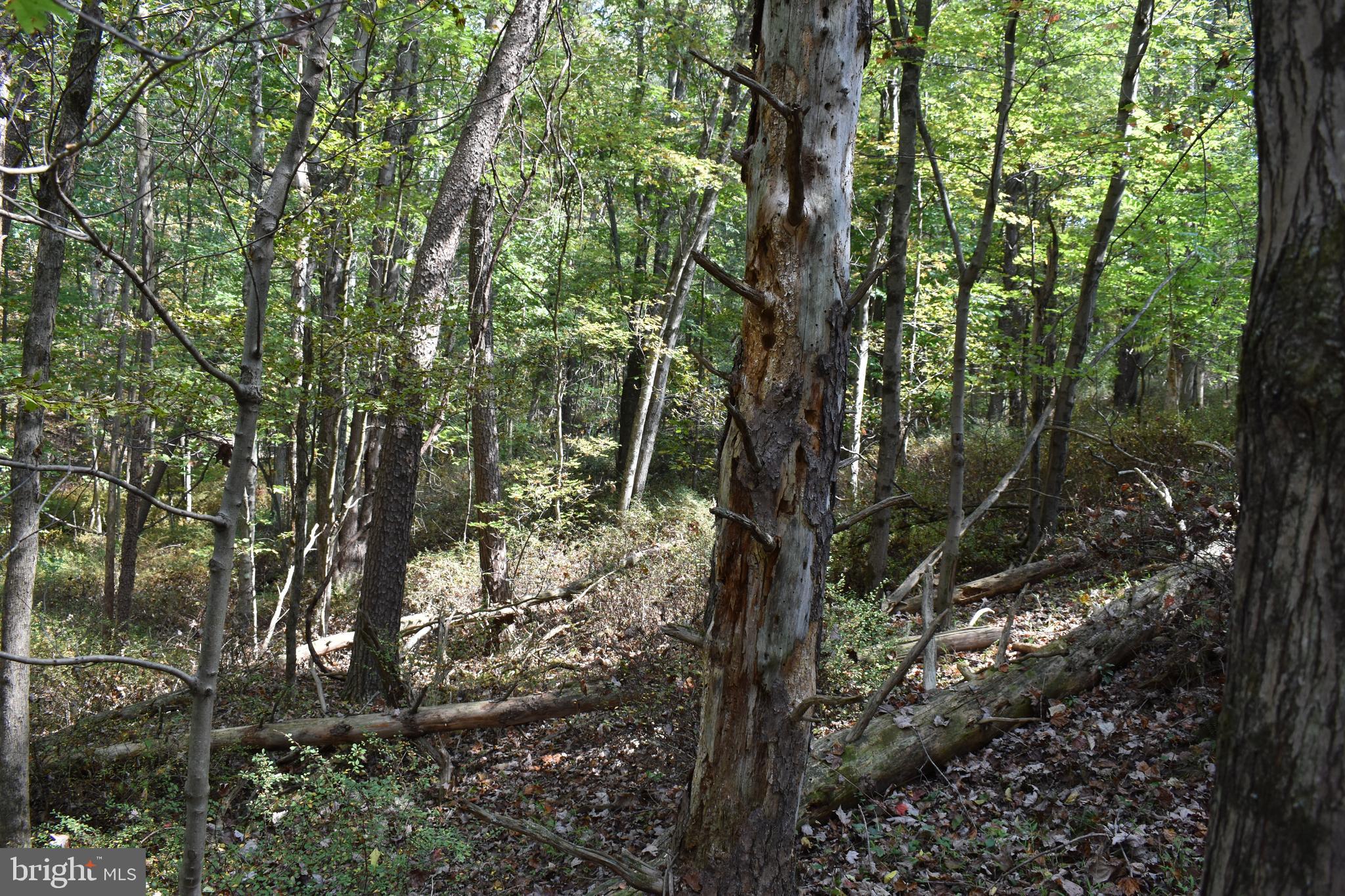 OLD MORGAN FARMS - Residential