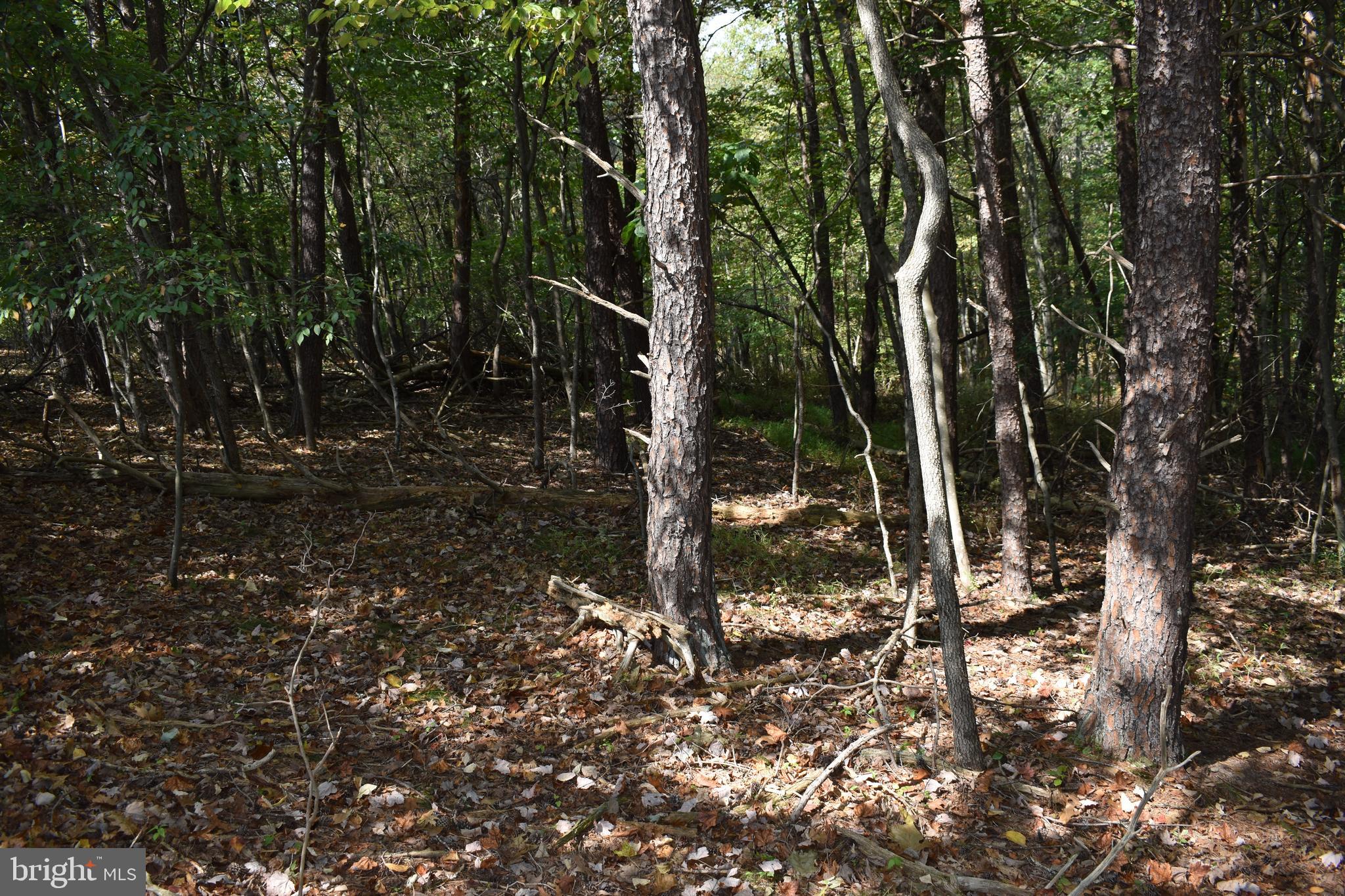 OLD MORGAN FARMS - Residential