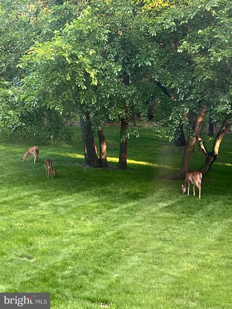 SAYBROOKE - Residential