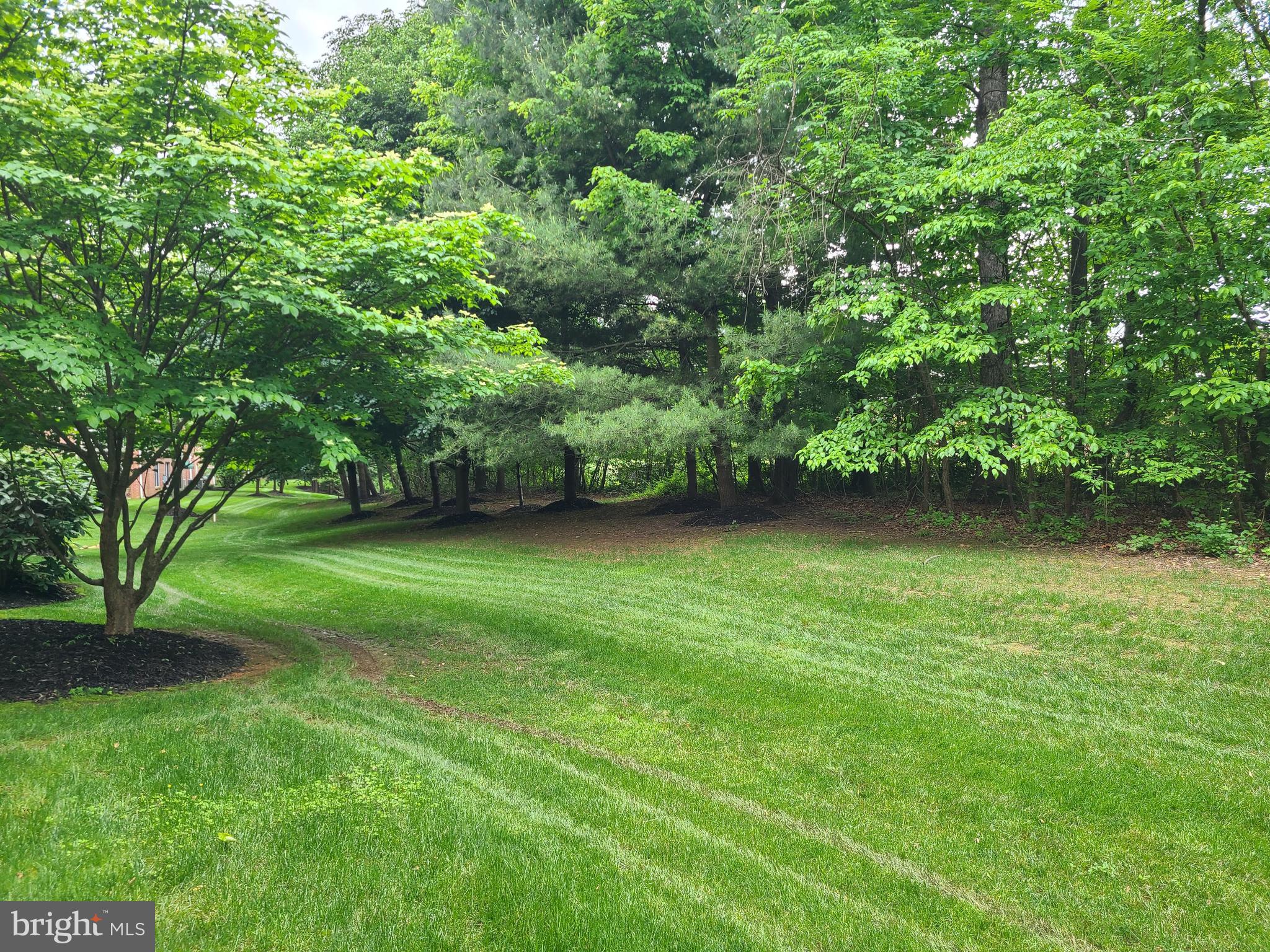 MAYS CHAPEL NORTH - Residential