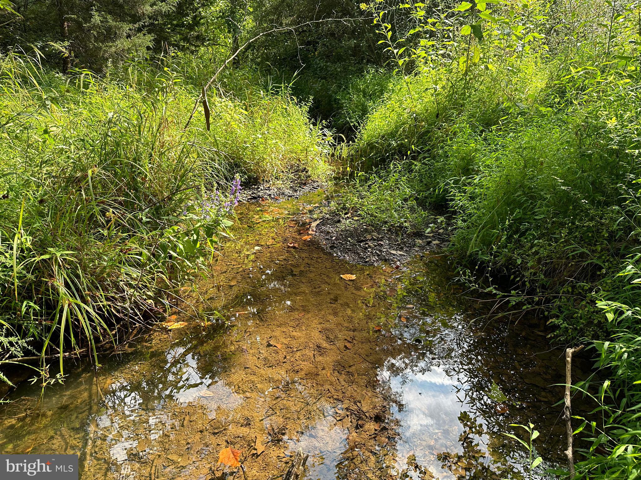 LONG ACRE ESTATES - Land