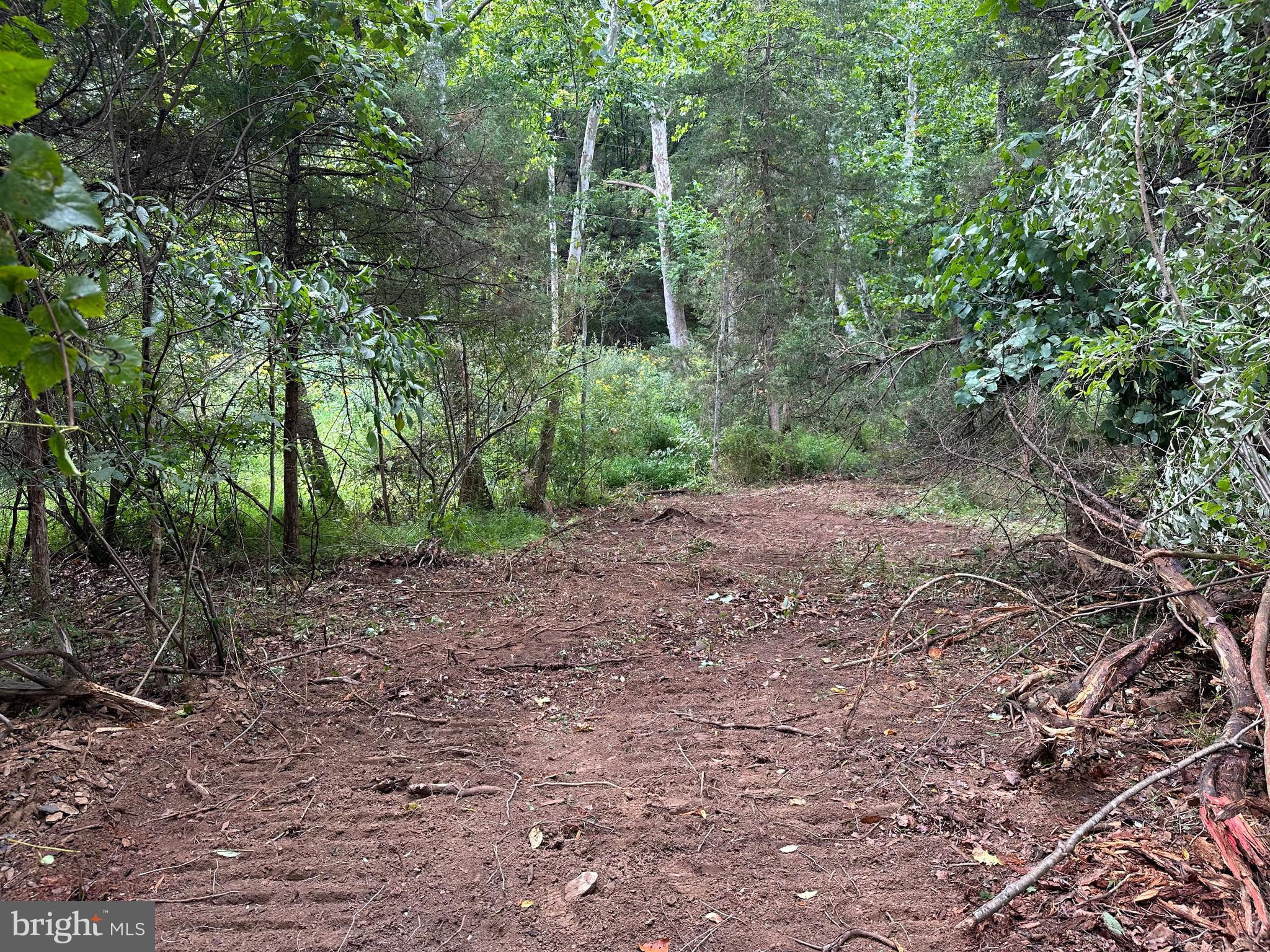 LONG ACRE ESTATES - Land