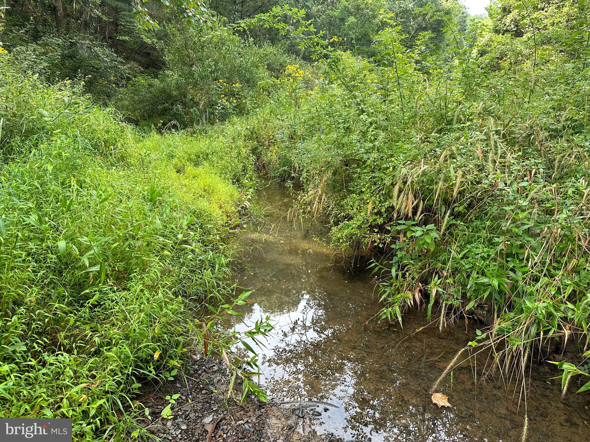 LONG ACRE ESTATES - Land