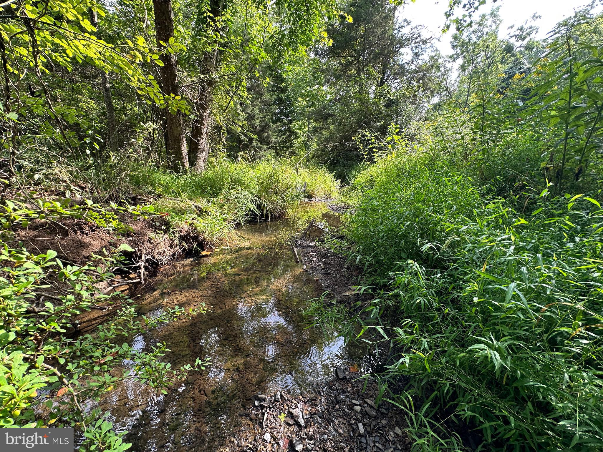 LONG ACRE ESTATES - Land