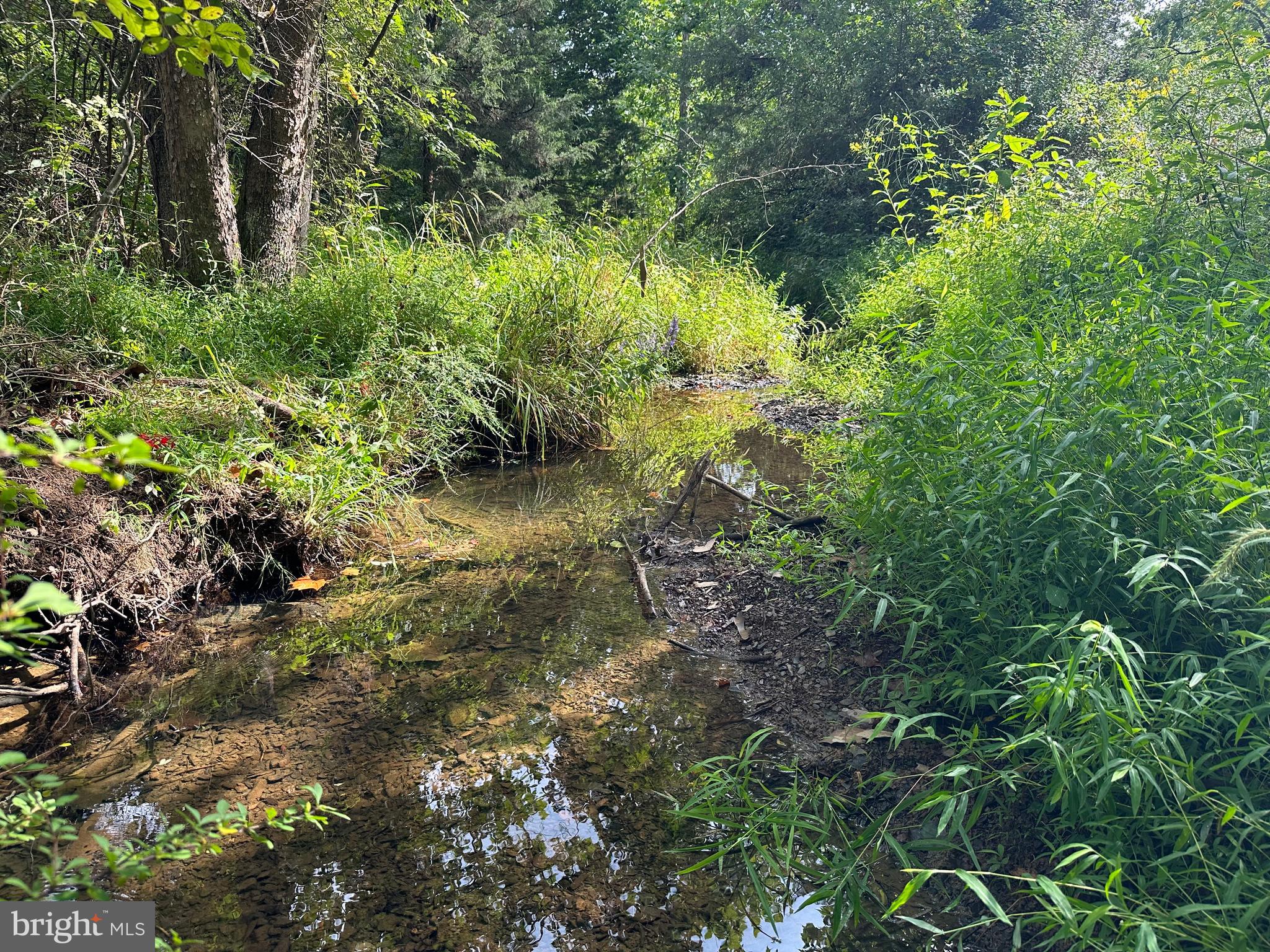 LONG ACRE ESTATES - Land