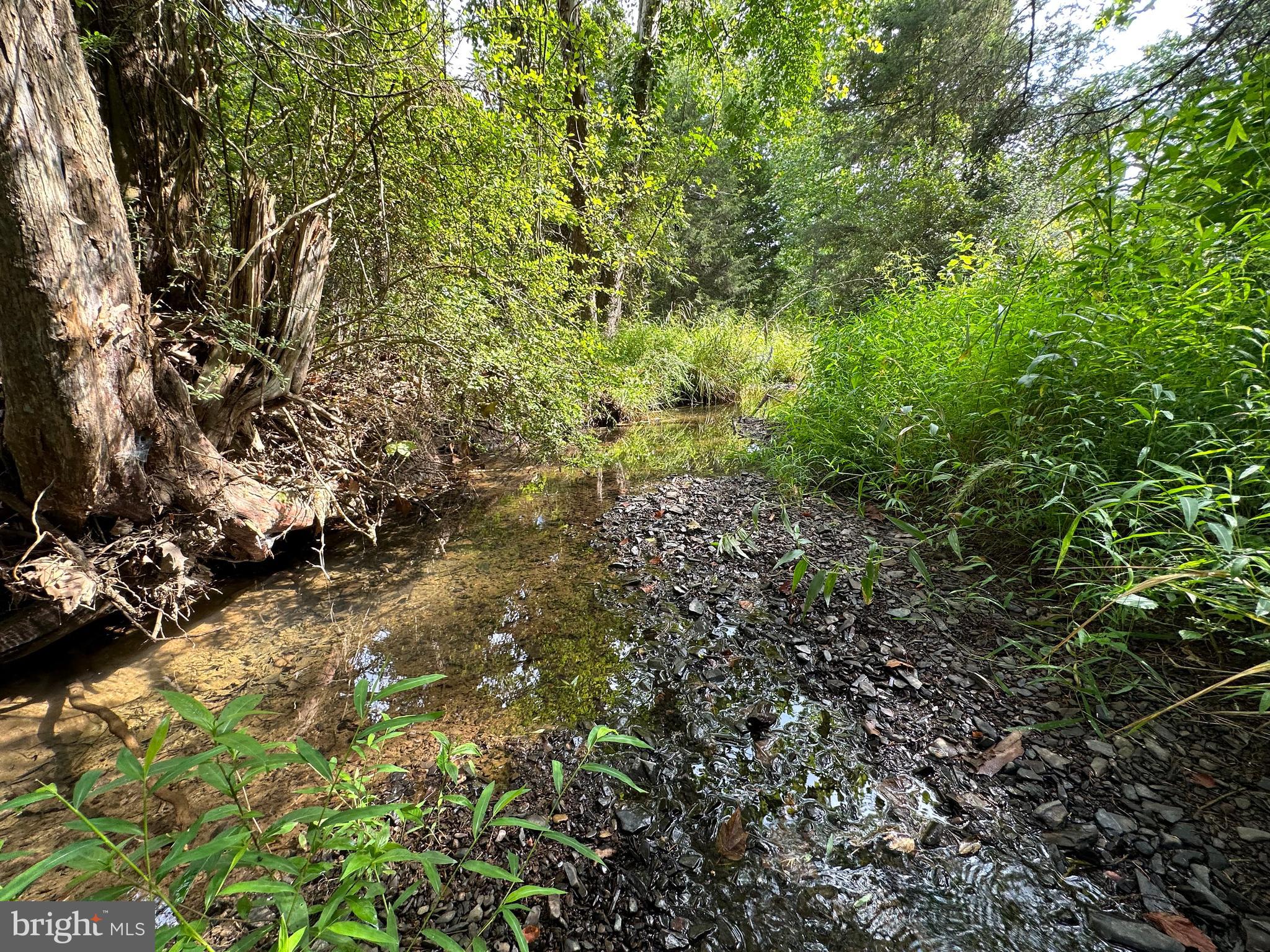 LONG ACRE ESTATES - Land