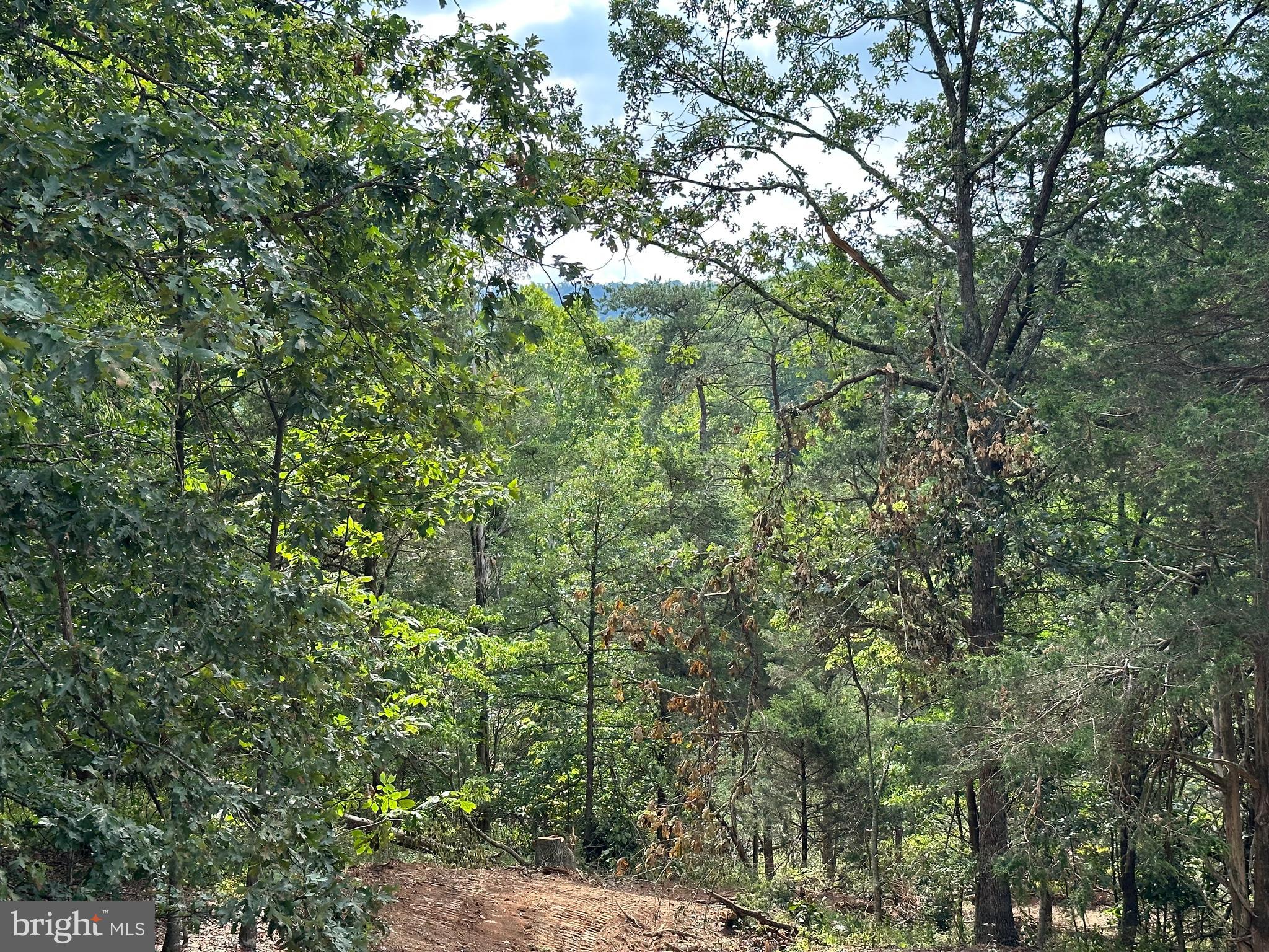 LONG ACRE ESTATES - Land