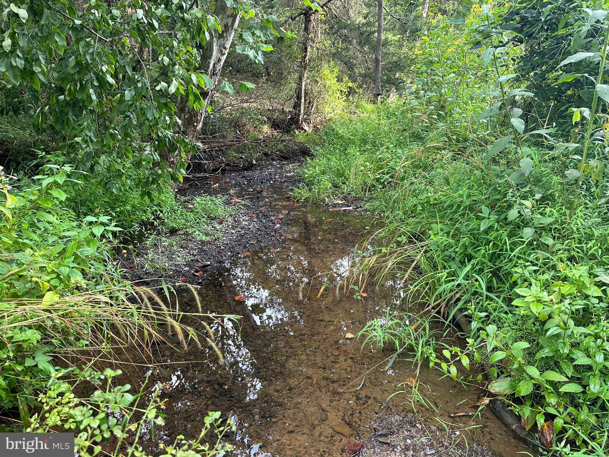 LONG ACRE ESTATES - Land