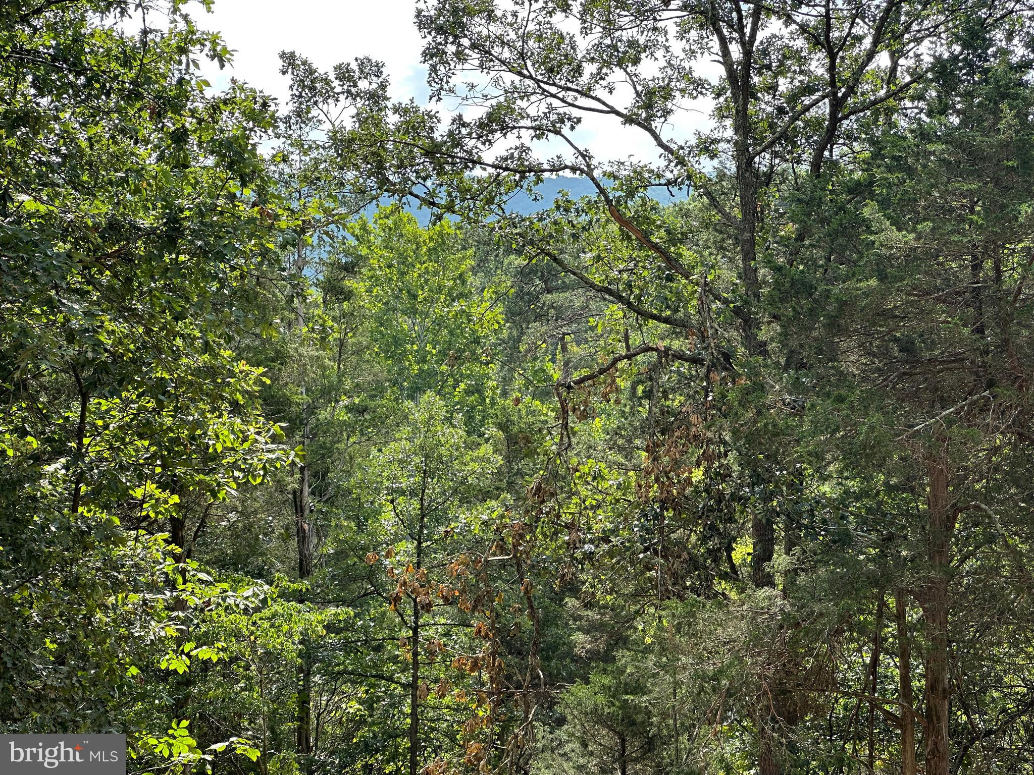 LONG ACRE ESTATES - Land