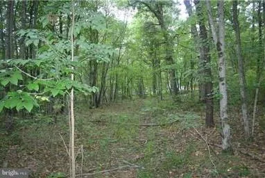 Sparrow Hill Road, Bloomery, WV 26817