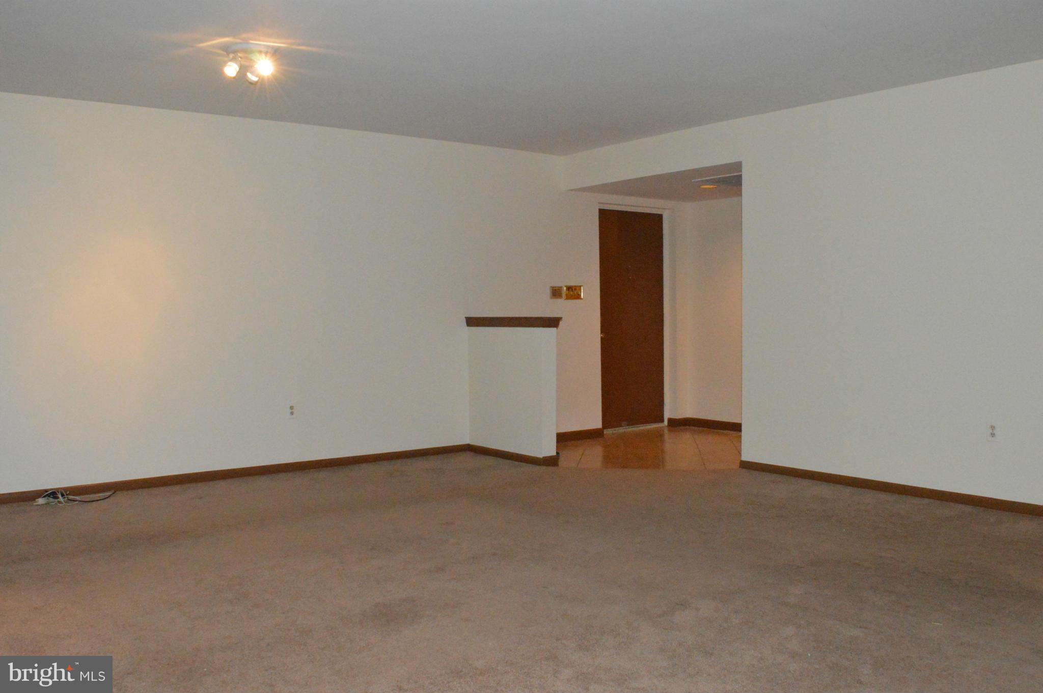 LODGE AT MCDONGH - Residential