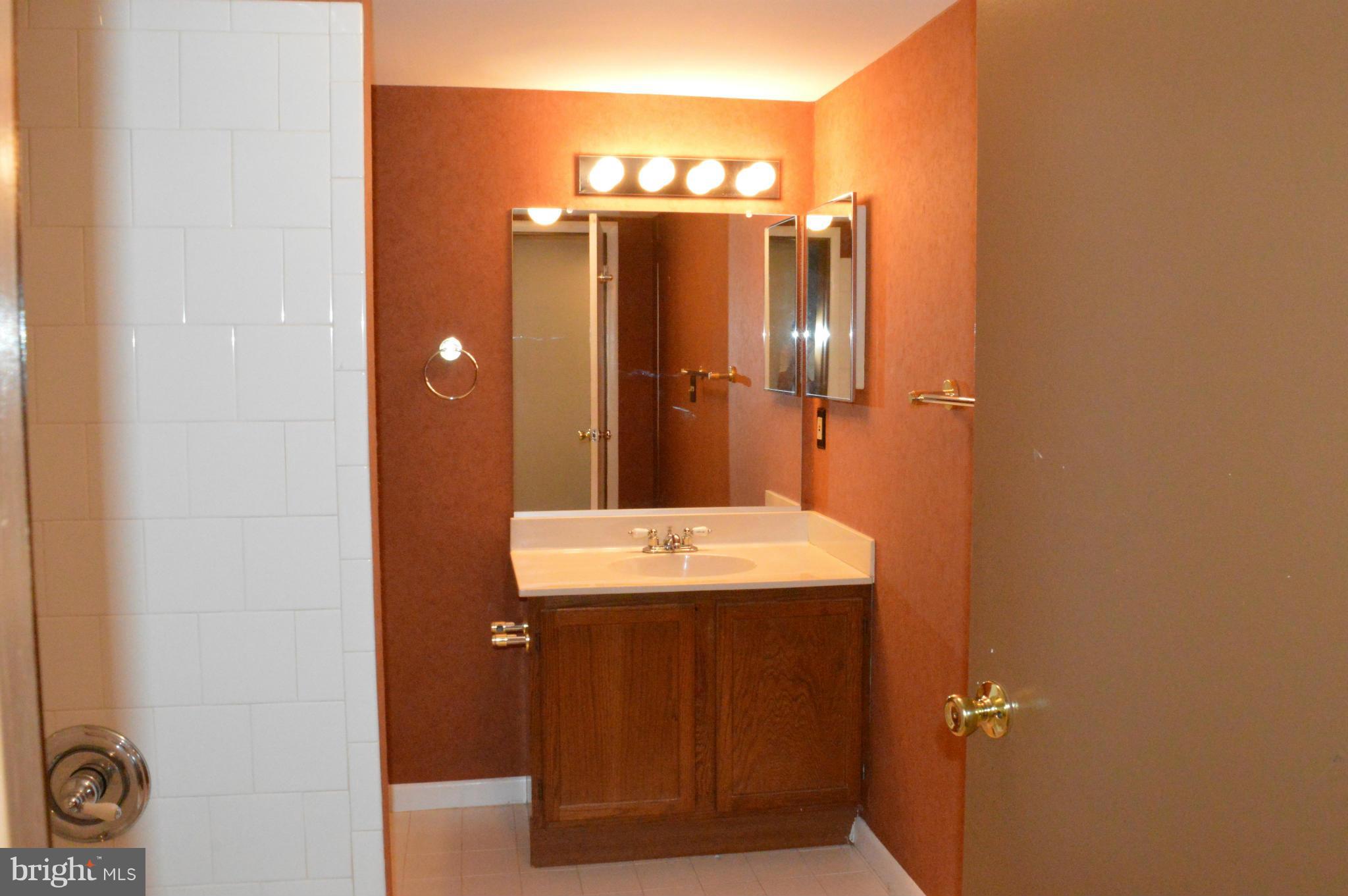 LODGE AT MCDONGH - Residential