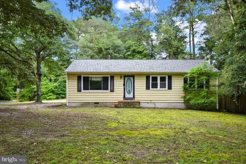 32548 MOUNT OLIVE ROAD SALISBURY MD 21804