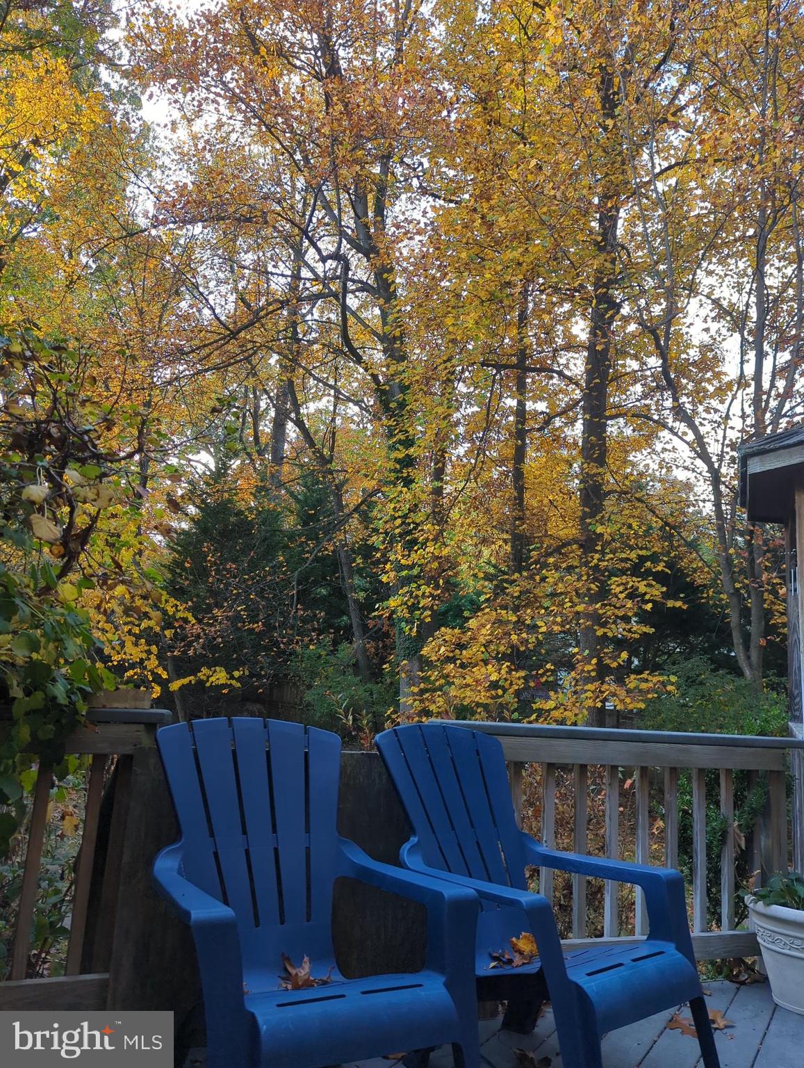 PROSPERITY HEIGHTS - Residential