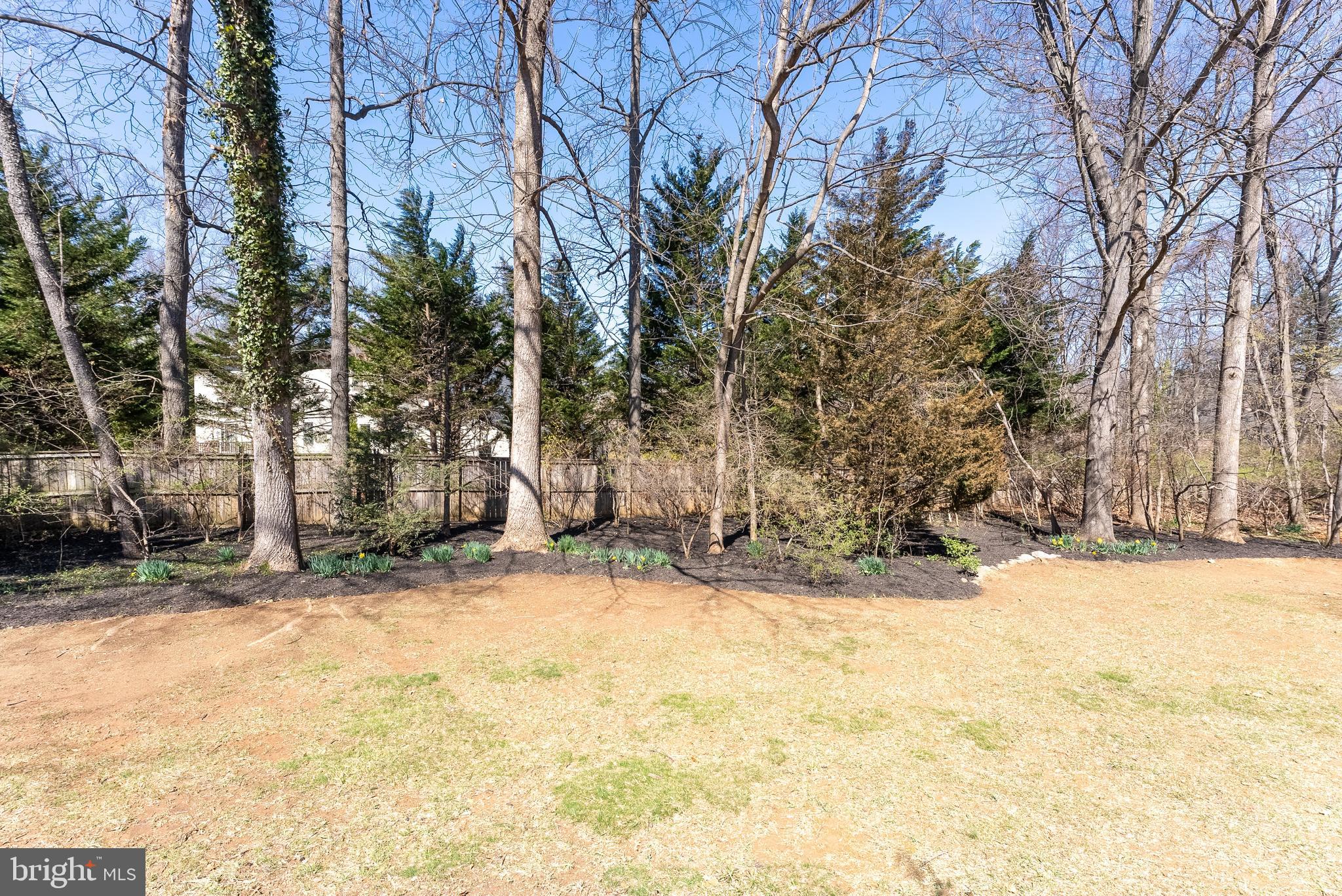 PROSPERITY HEIGHTS - Residential