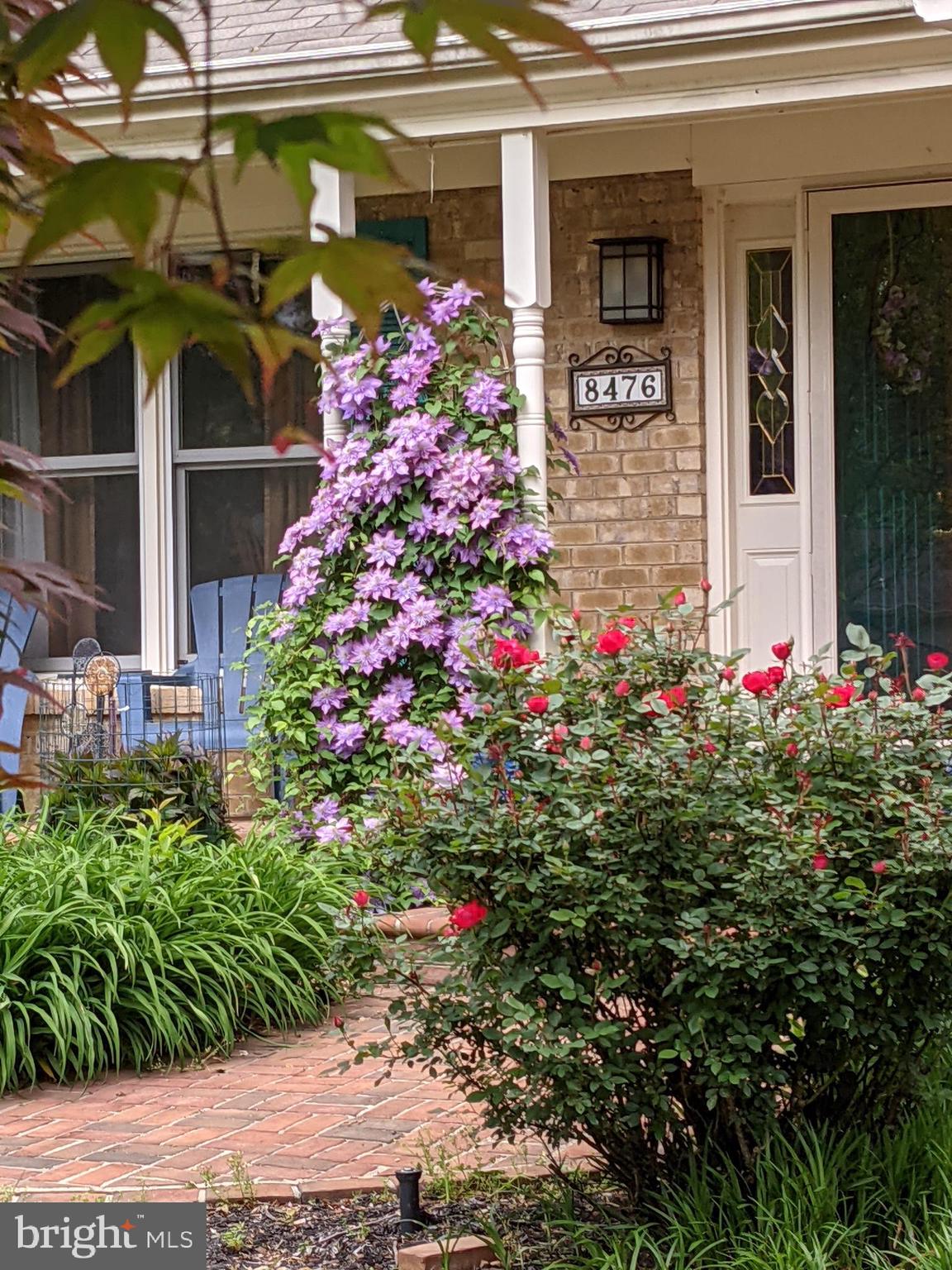 PROSPERITY HEIGHTS - Residential