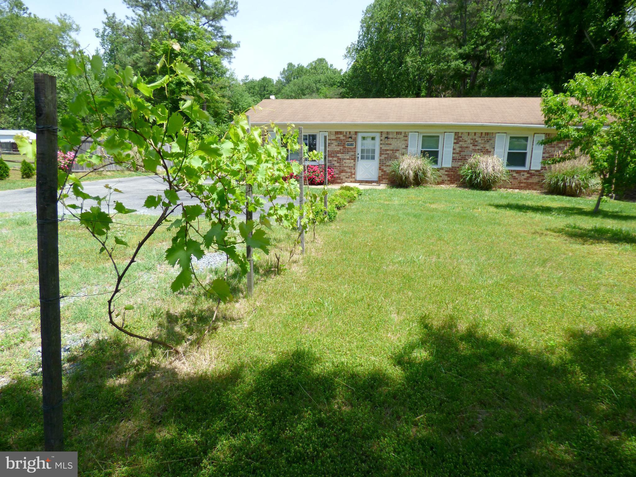 RUSTIC HILLS - Residential
