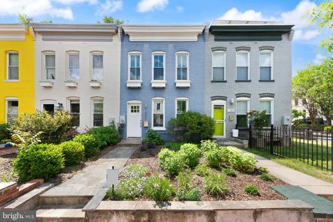 1503 CONSTITUTION AVENUE NE WASHINGTON DC 20002