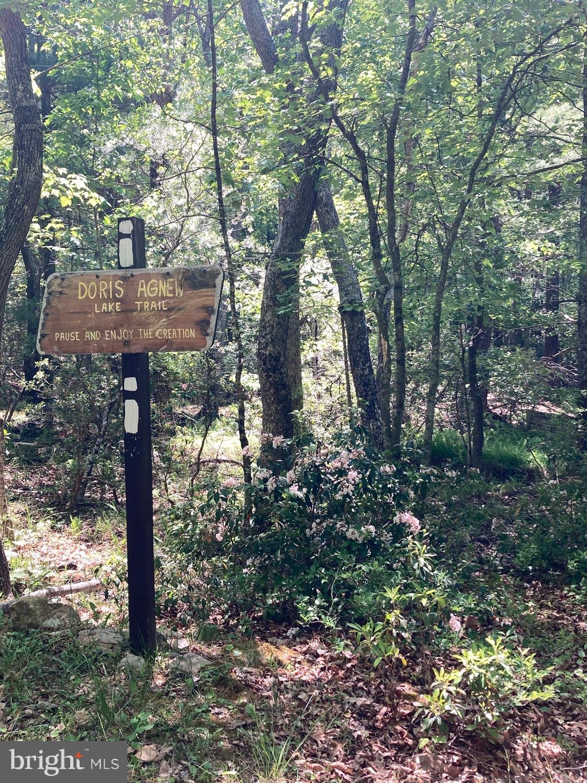 TROUT POND - Residential