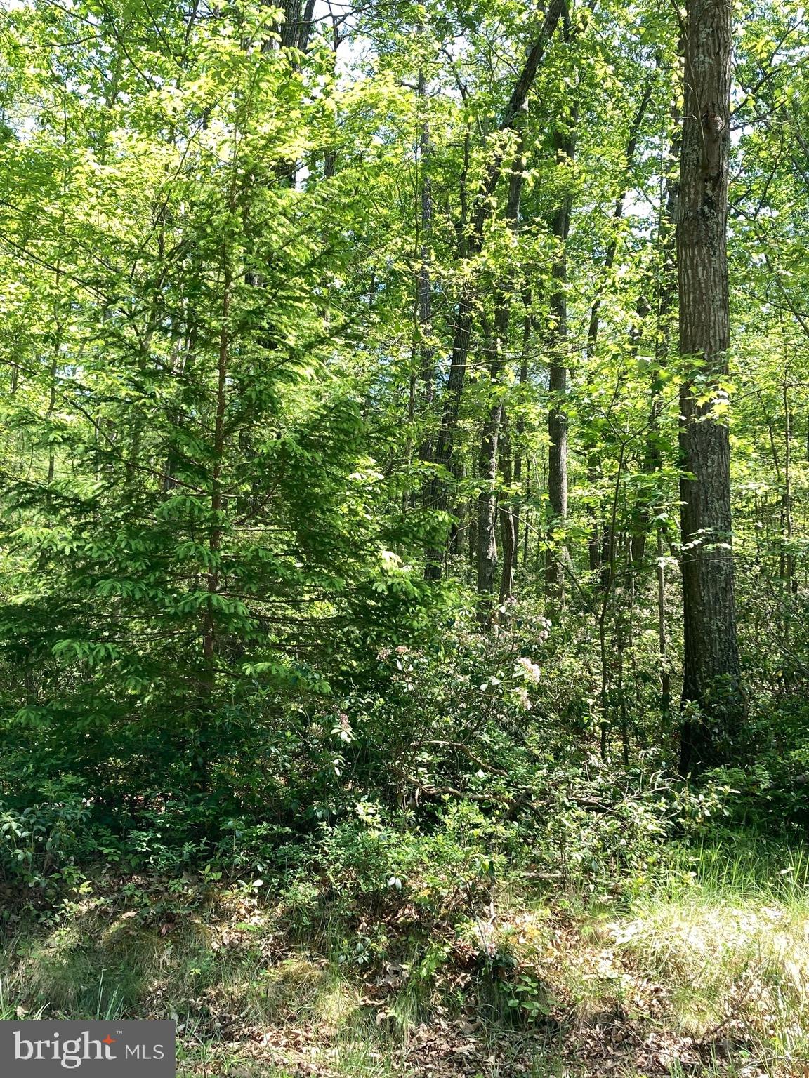 TROUT POND - Residential