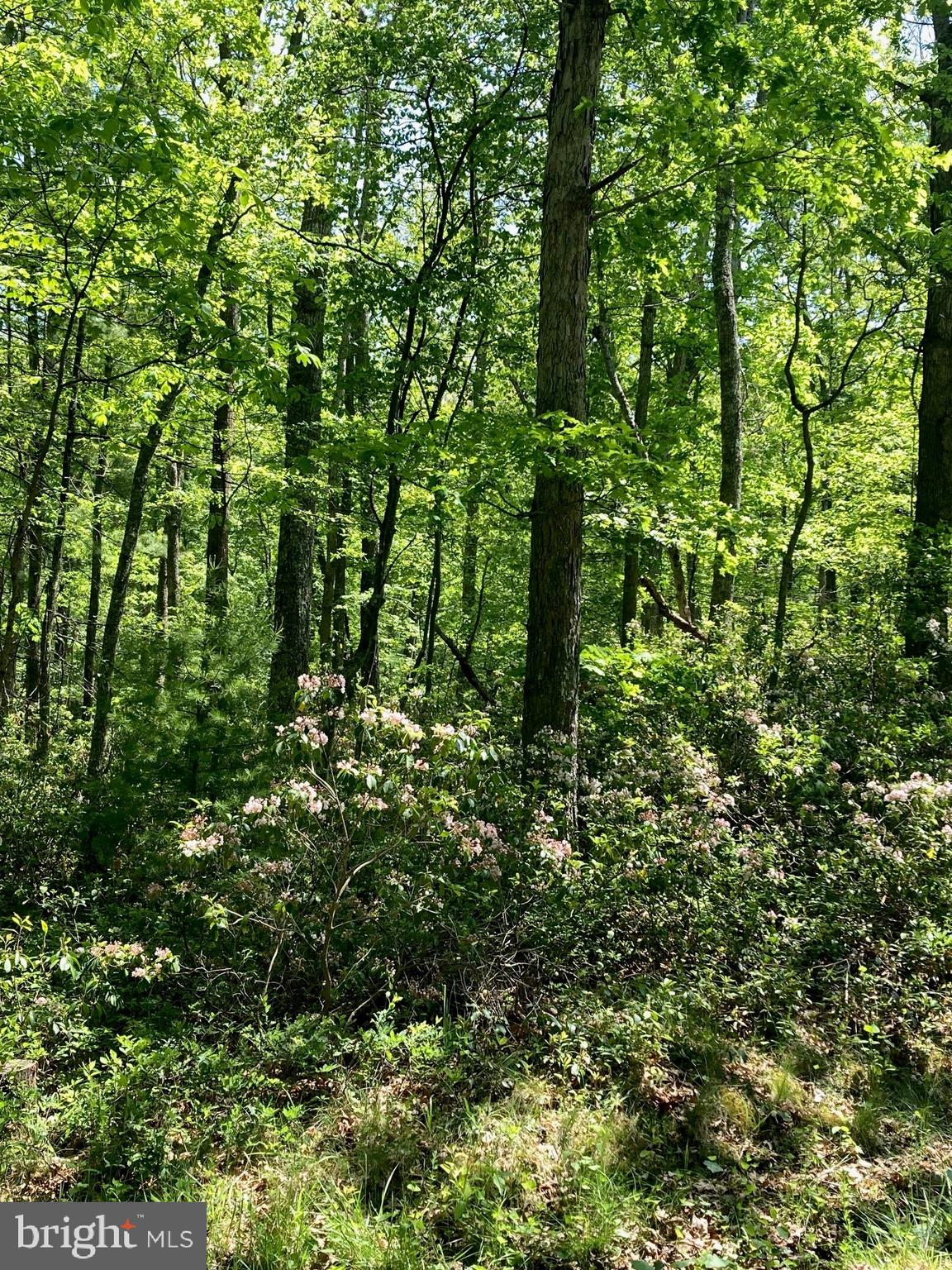 TROUT POND - Residential