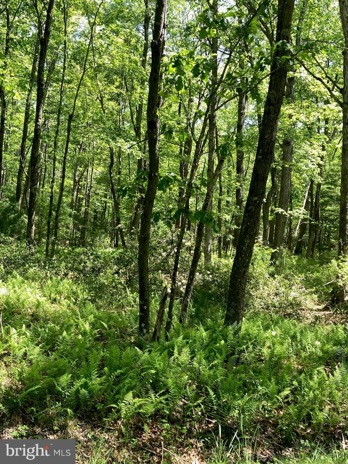 TROUT POND - Residential