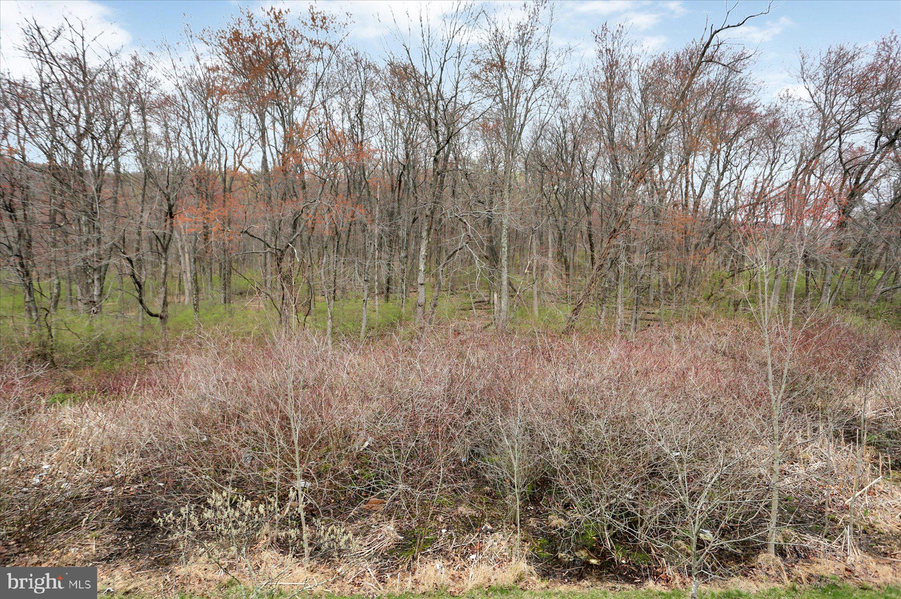 WAVERLY WOODS - Residential