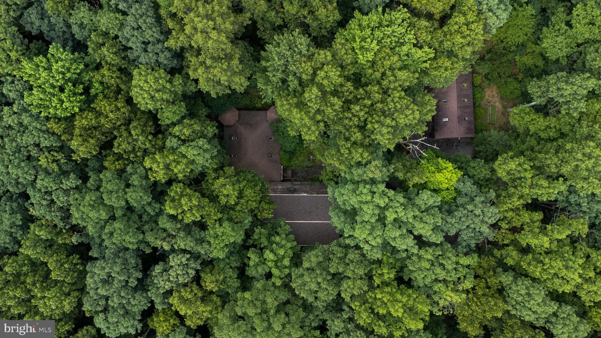 CHRIBARO MANOR - Residential