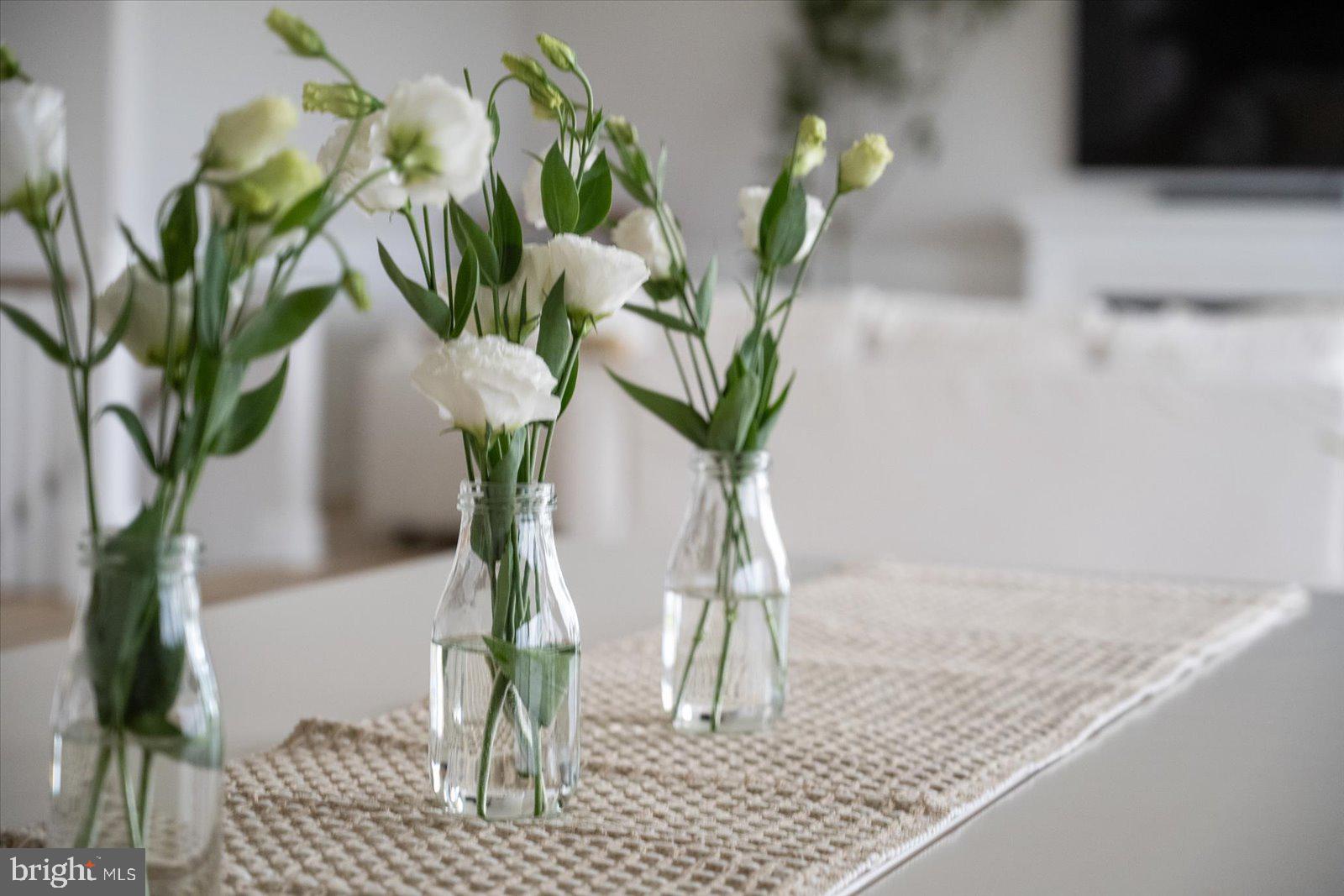 LIGHTHOUSE SOUND - Residential