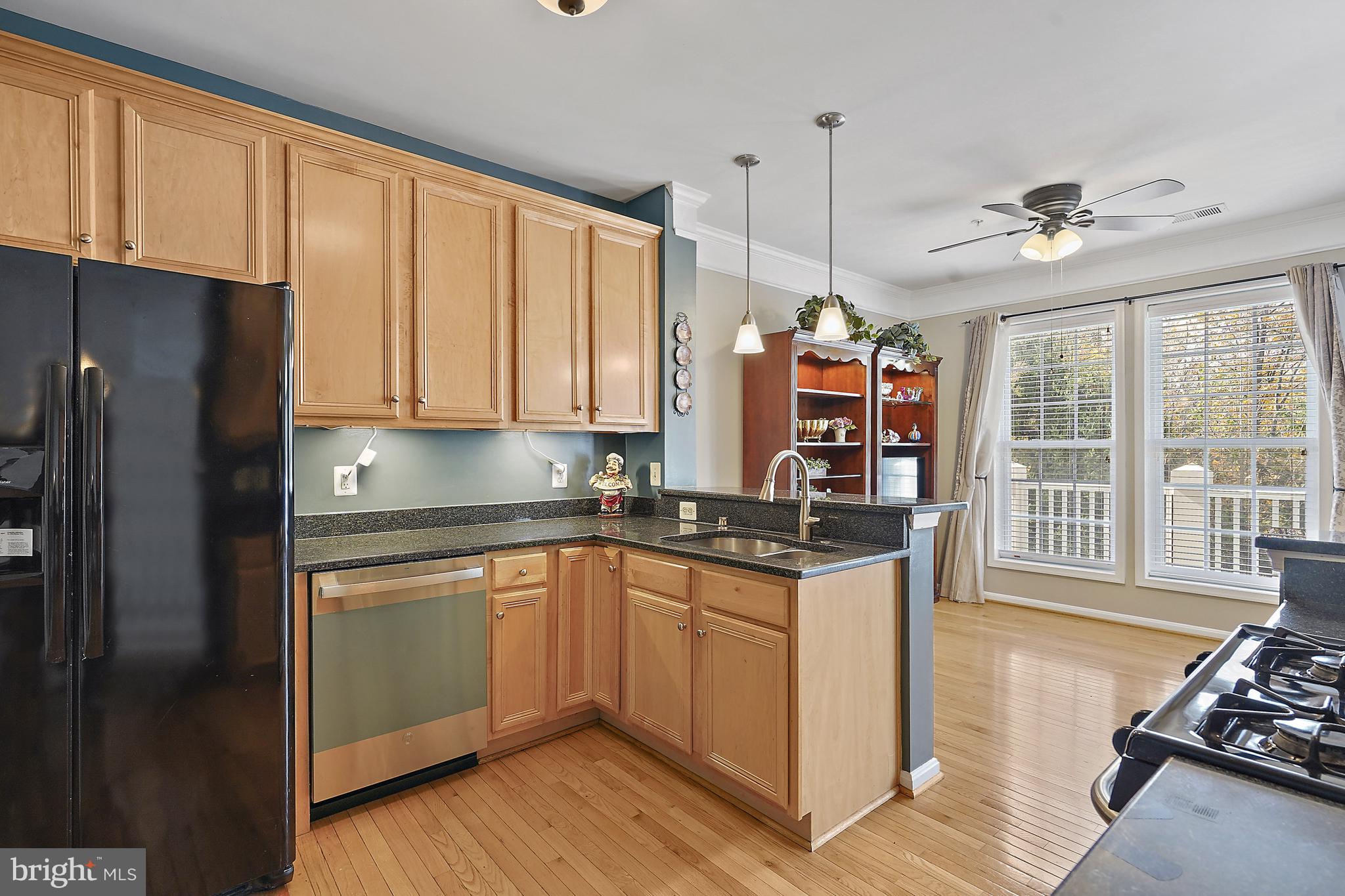 41973 BLUE FLAG TERRACE