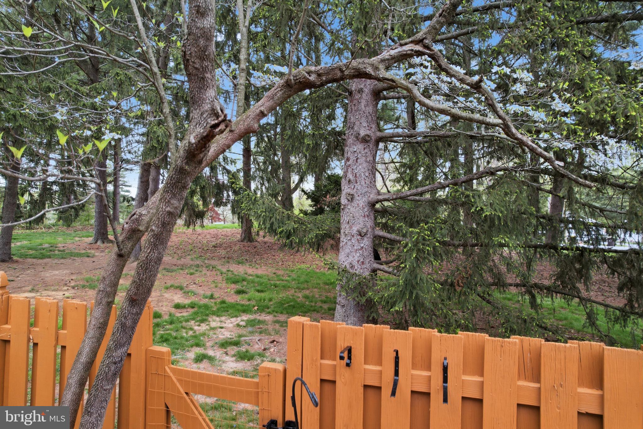 OLDE COLONIAL GREENE - Residential