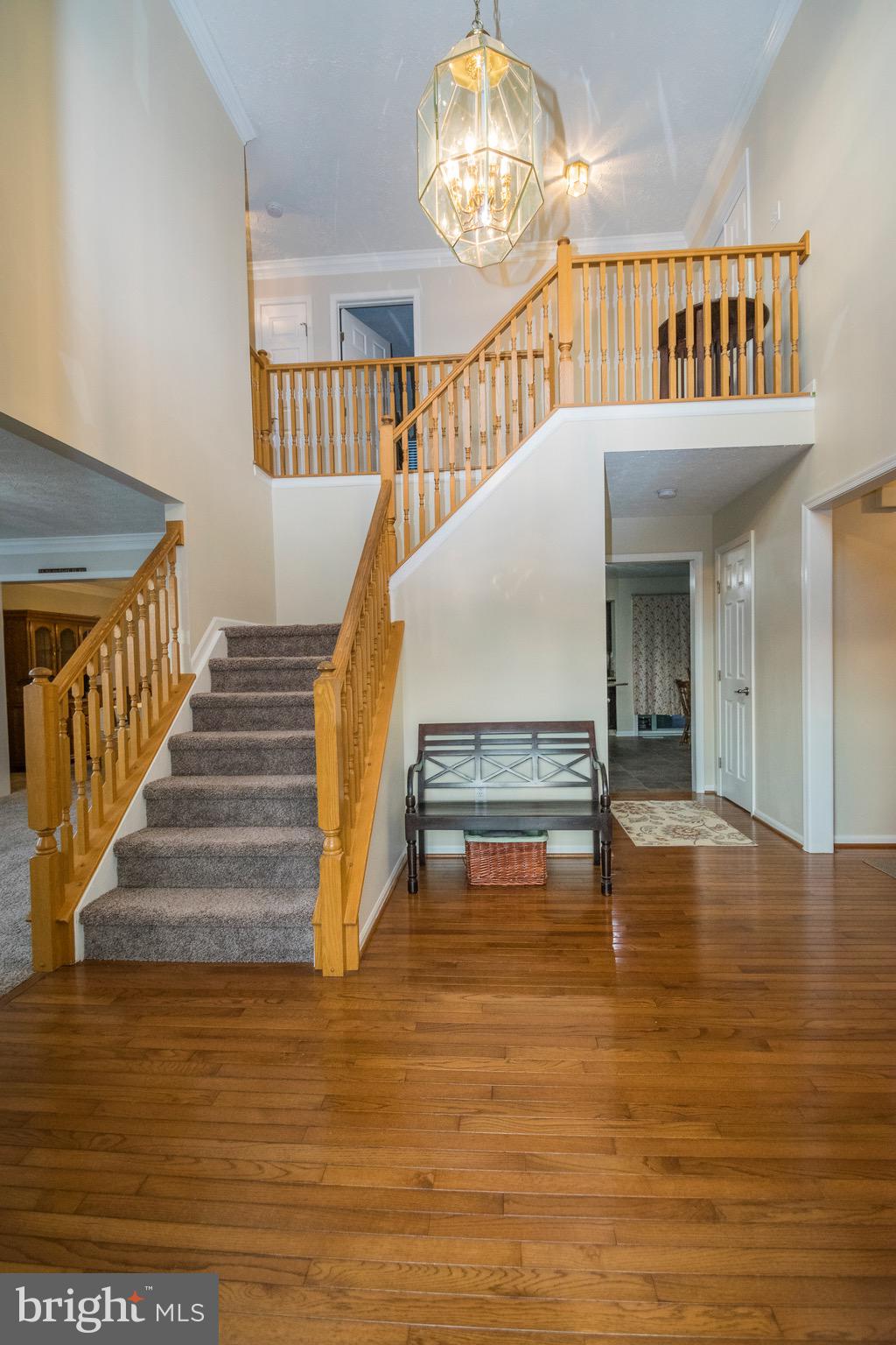 AMYCLAE ESTATES - Residential