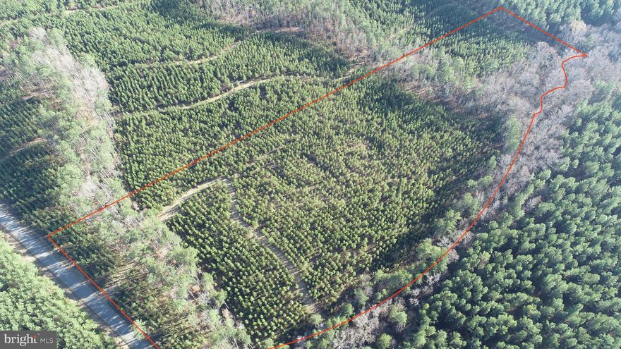 The Covered Bridge Tract is located on Community house rd in the Kents store area of Fluvana County. This property is comprised of 9 year old planted loblolly pine with the back portion of the property having some 20+ year old loblolly. This tract has a 4 bedroom soil test completed and is ready to be built on with no restrictions. Conveniently located just off 64 you will have the option to go to either Richmond or Charlottesville in around 30 minutes either way. This property is full of wildlife and has newly mulched roads running through it allowing access to the entire property. Power available at the road. Creek on the back side is steady flowing year round and has nice hardwood timber along the bottom.