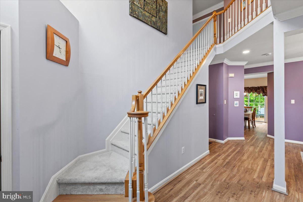 PATAPSCO VALLEY OVERLOOK - Residential