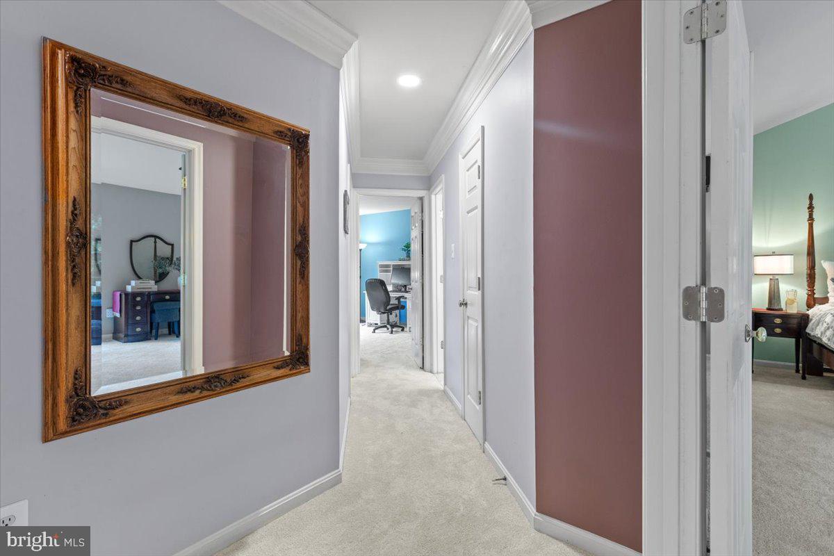 PATAPSCO VALLEY OVERLOOK - Residential