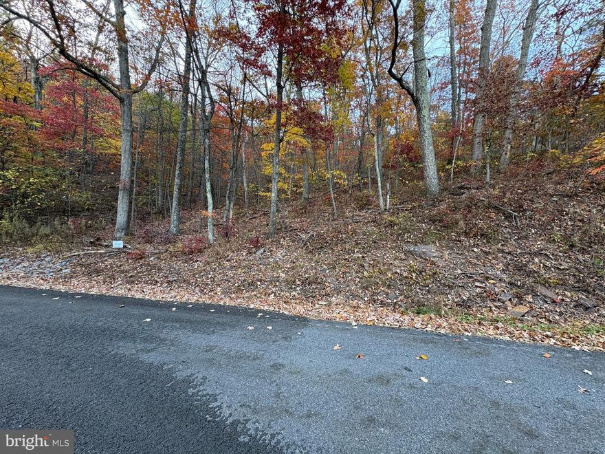 Come see the views in this mountain community, potential building lot .55 acres, build your possible full or part time home or just recreational use. Hard top roads, road maintenance & amenities. Fishing, boating, Beach area, 2 recreational park areas, picnic pavilion, fishing ponds, baseball field, basketball hoops. Peaceful & Quiet, Take a ride to the top & enjoy all the wonderful Mountain Views.  Short distance to shopping, schools, Hospital and main roads, Rt 50, RT 37, I 81.   Sign with Lot numbers on property
Also for Sale Lots 9, 101,103
Also For Tomahawk Trail Lot 132 - 133