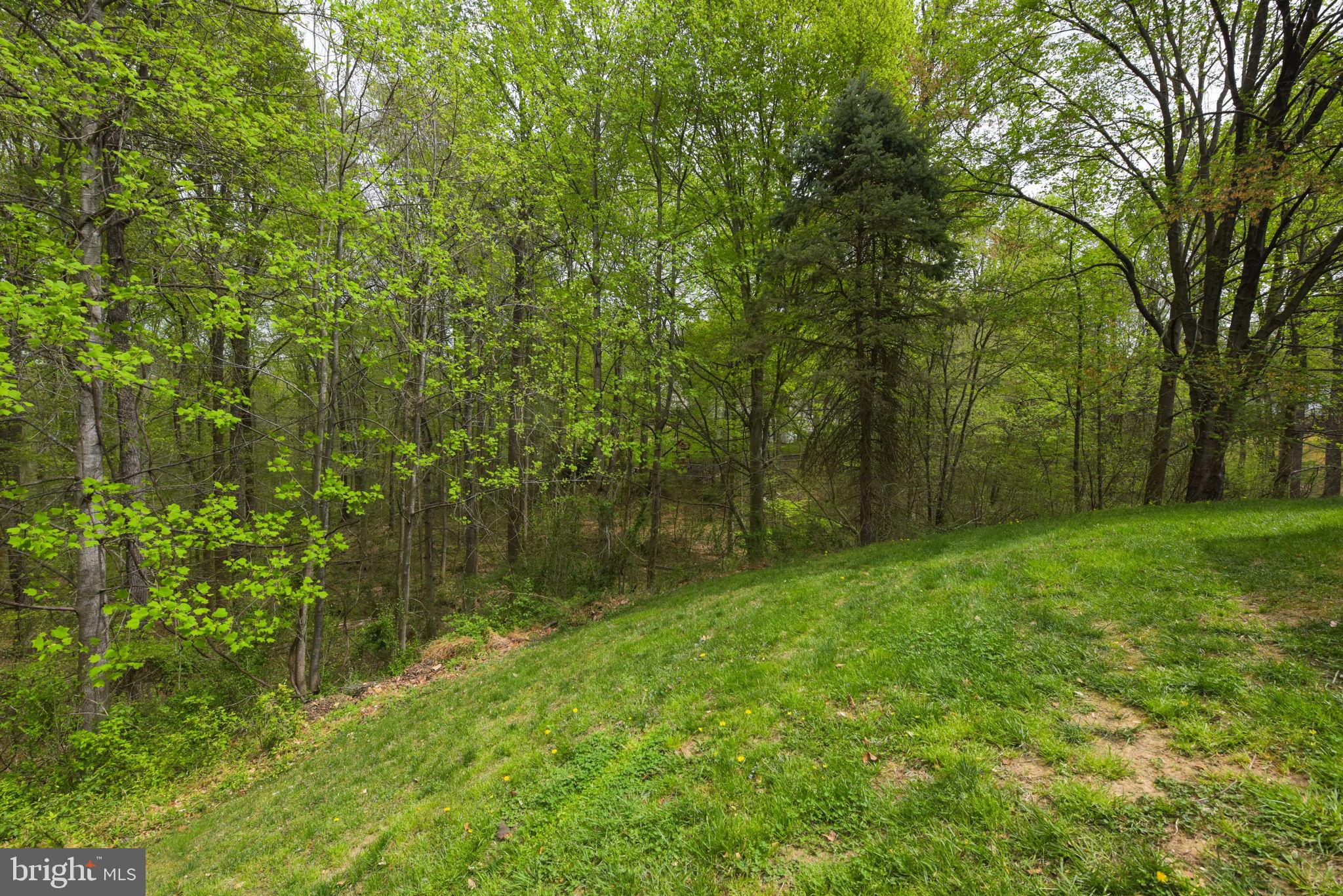 NEWINGTON FOREST - Residential