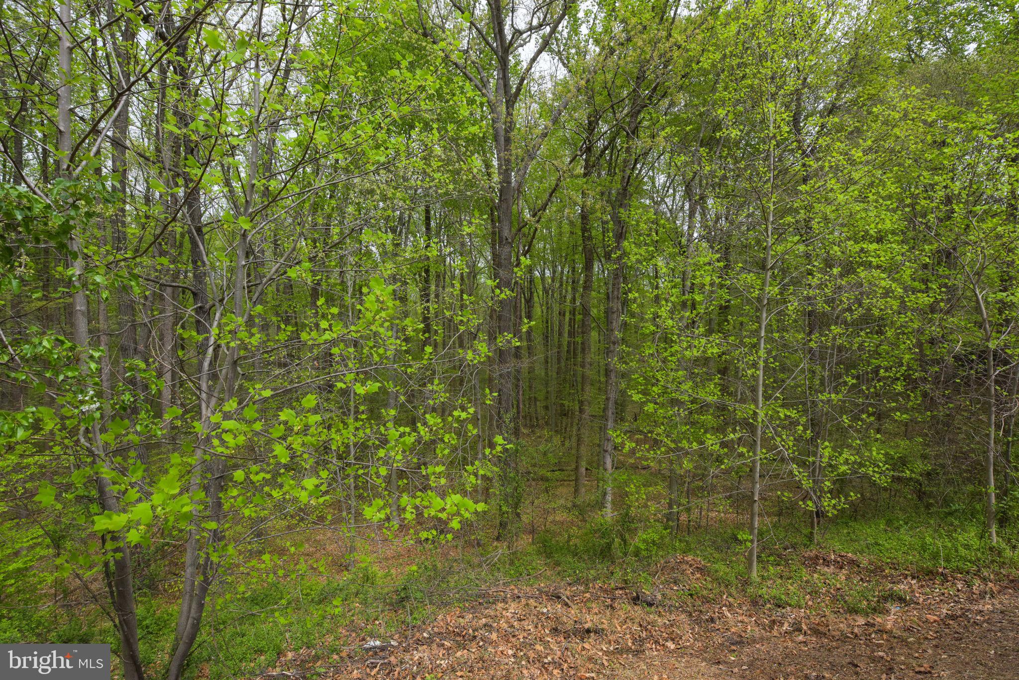 NEWINGTON FOREST - Residential