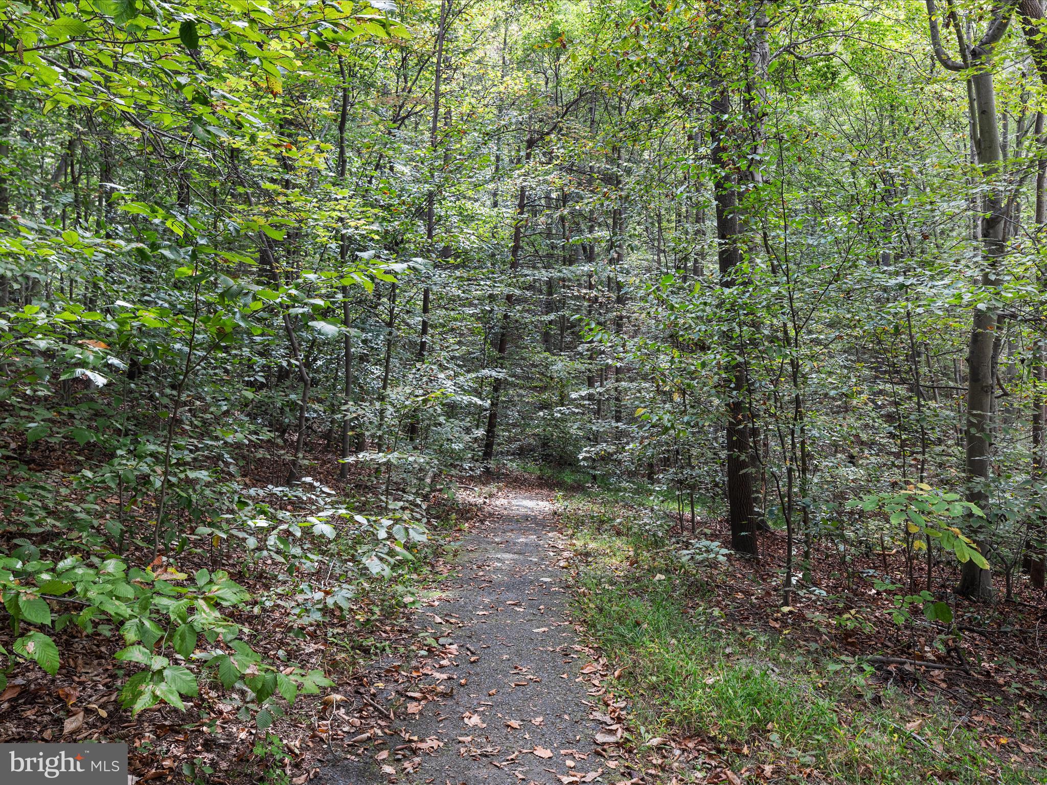 BETHELEN WOODS - Residential