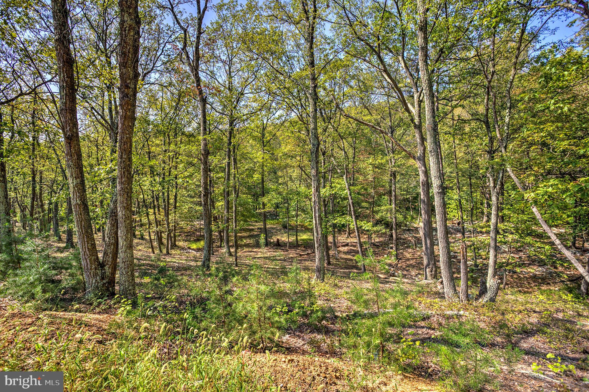 MORGANS RIDGE - Residential