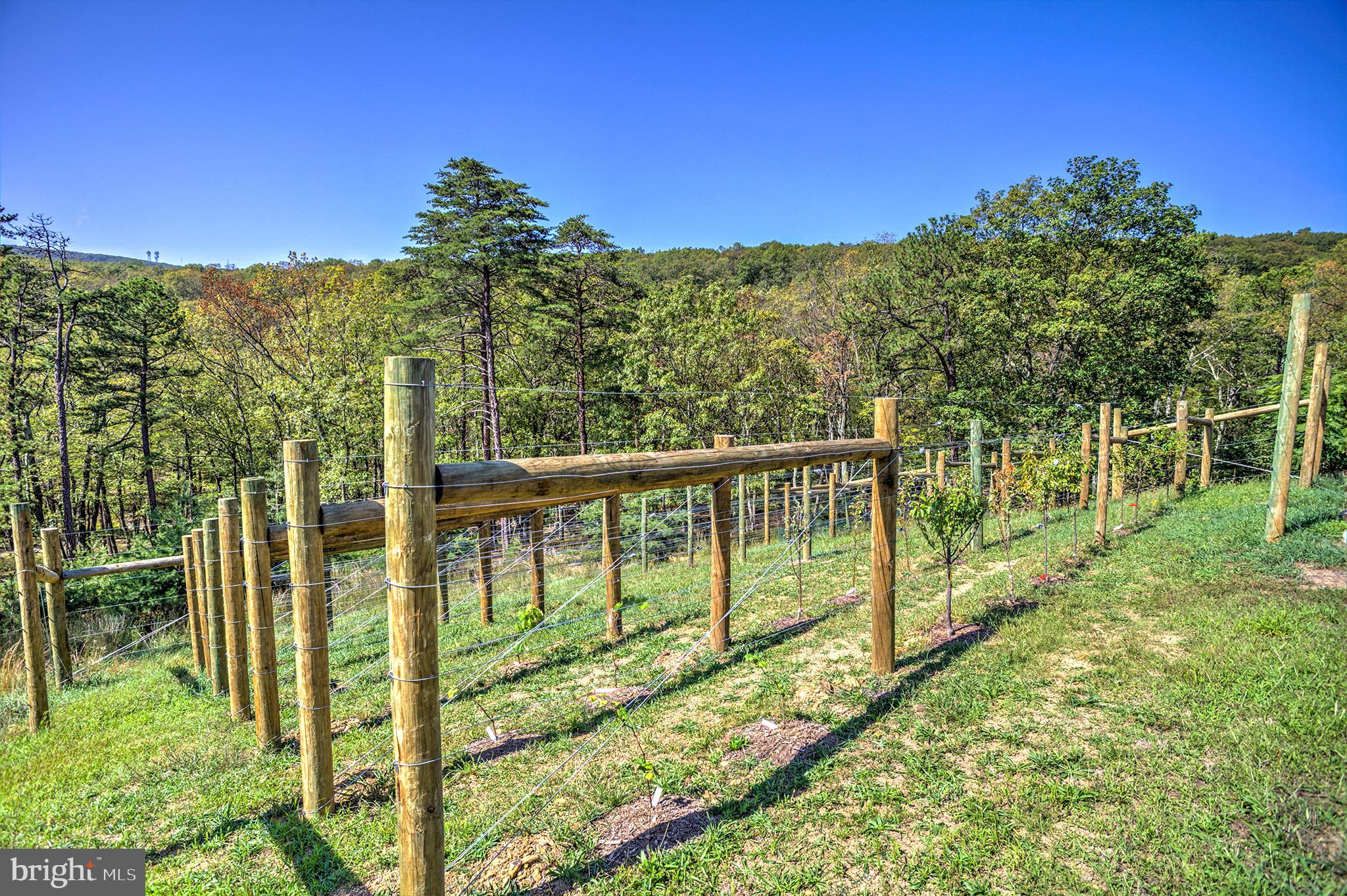 MORGANS RIDGE - Residential