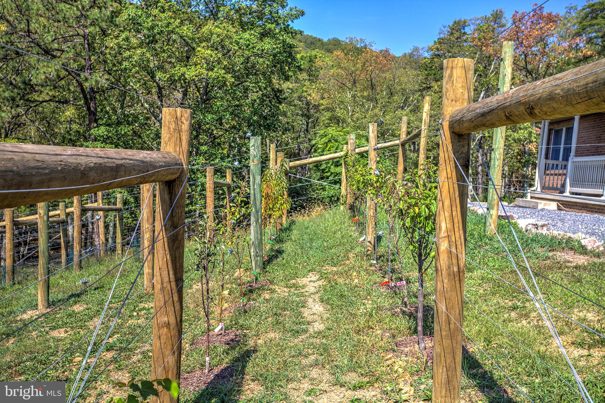 MORGANS RIDGE - Residential