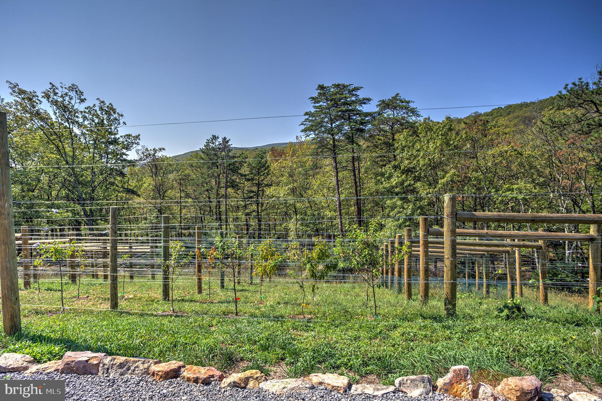 MORGANS RIDGE - Residential