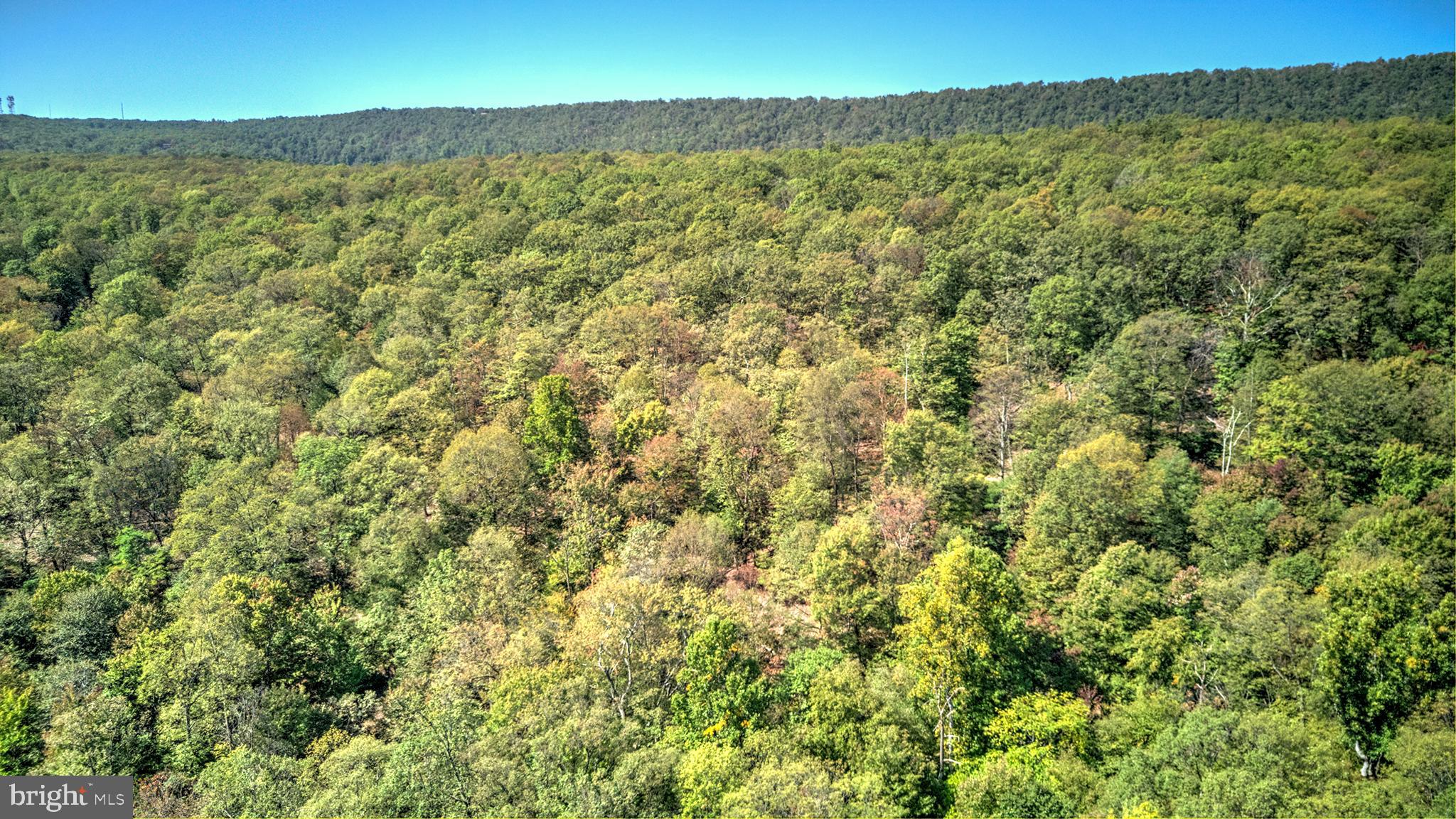 MORGANS RIDGE - Residential