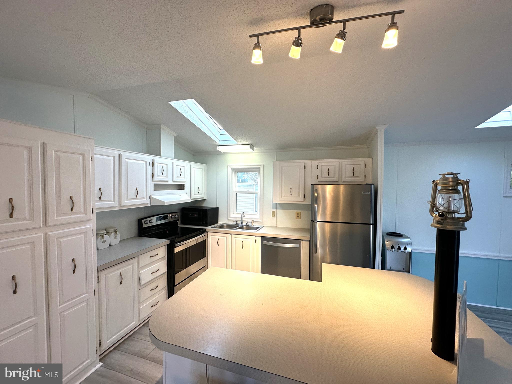 18656 SNOWMASS RUN 18656