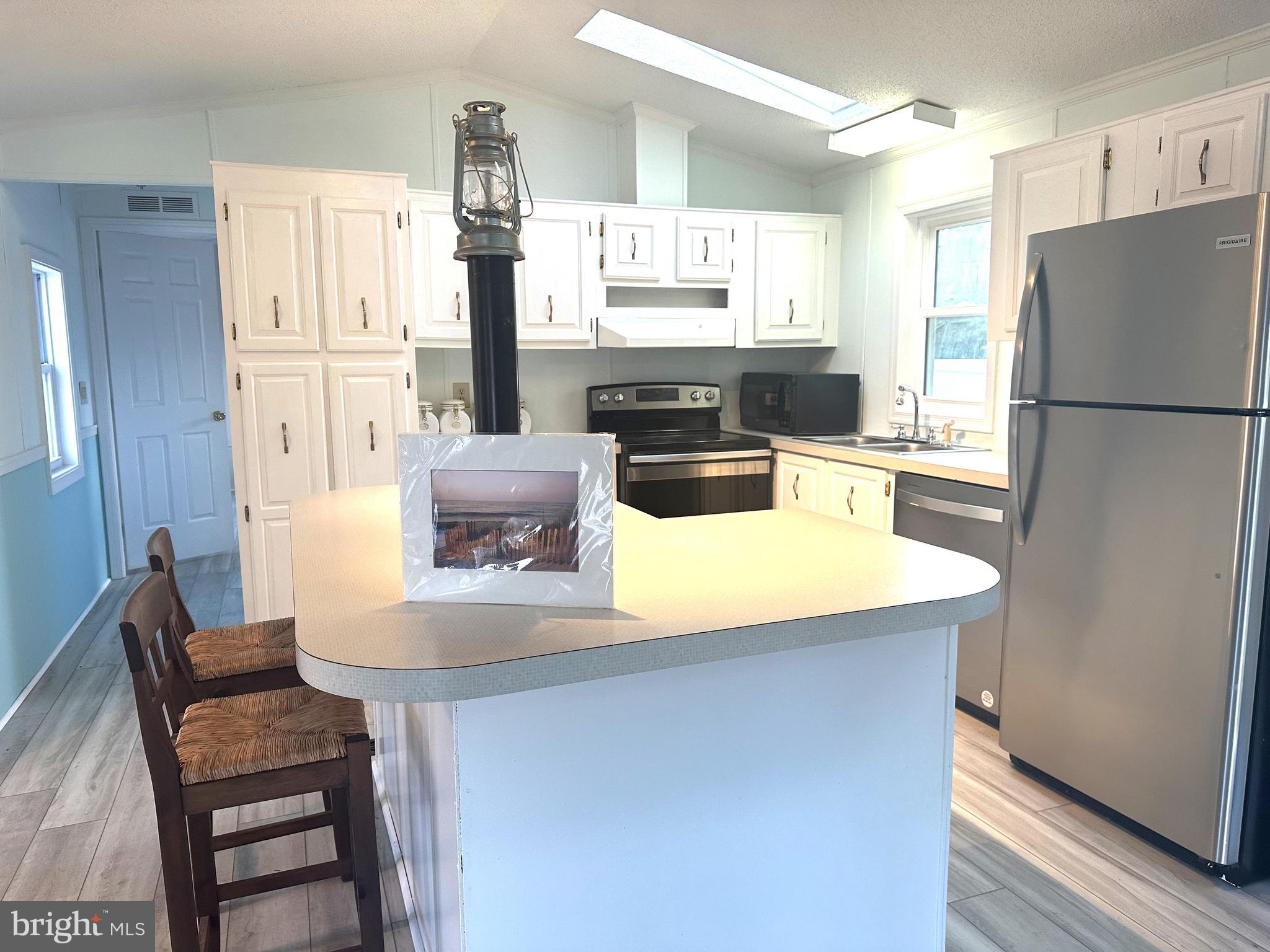 18656 SNOWMASS RUN 18656